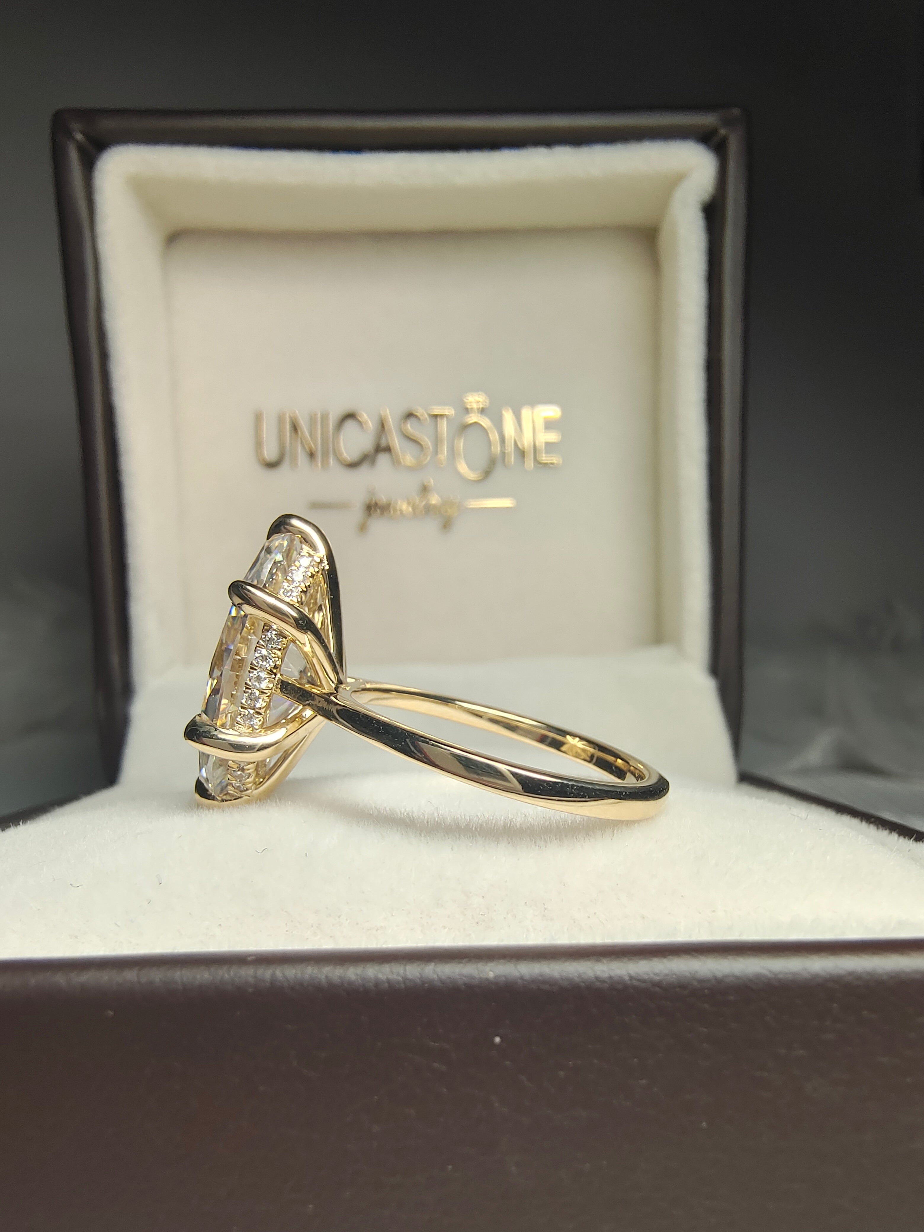 Cathedral Hidden Halo Ring by UnicaStone